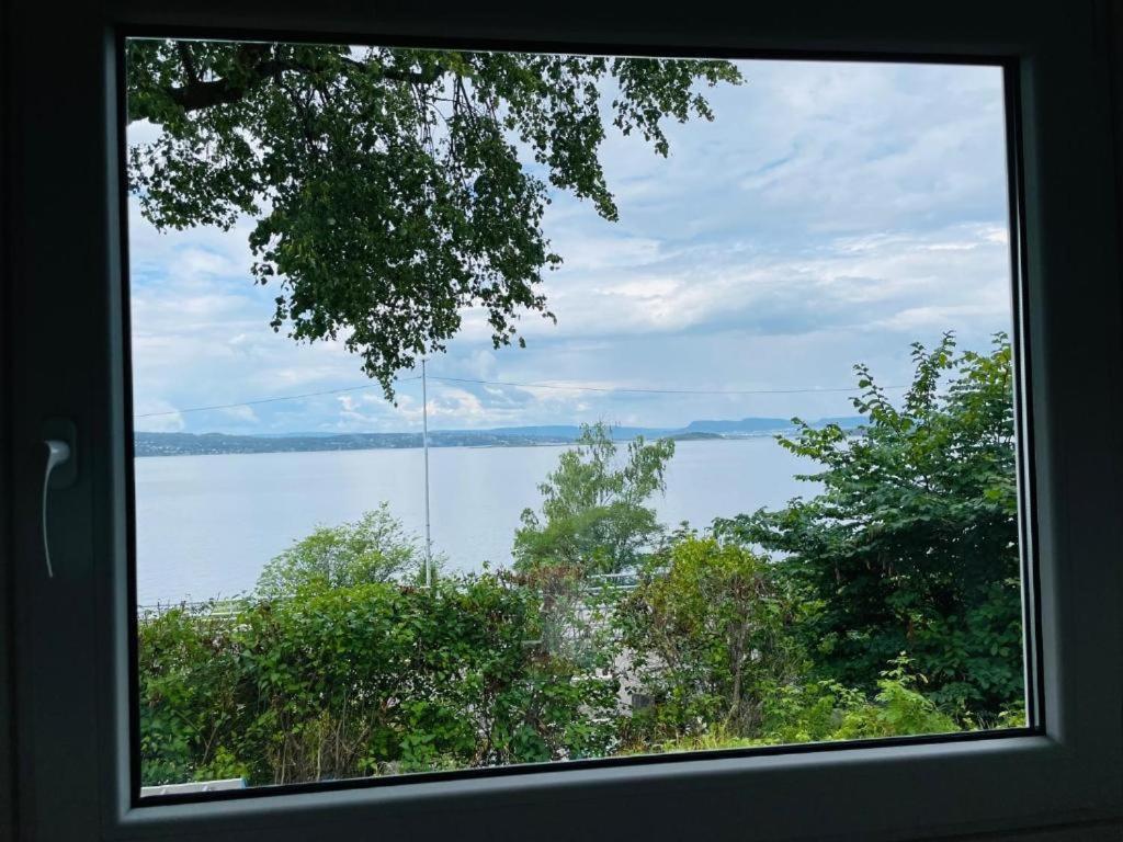 Nice Apartment With1 Bedroom Separate Living Room With A Sofa Bed And A Tiny Kitchen A Bathroom Located In Nordstrand Near By The Sea For 3 Guests With A Garden And Grill 5 Extra Guests With Extra Cost In The Cabin With Sea View Just Outside The Apar Oslo Exterior foto